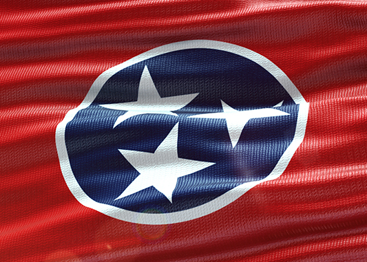 Report analyzes Northeast Tennessee families’ economic situation